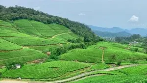 Village Tour