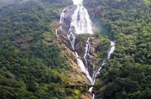 Dudhsagar Waterfall + Spice Plantation Tour   photo 5