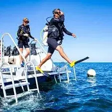 Boat Dive