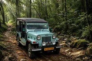Jeep safari with tea plantation walk package