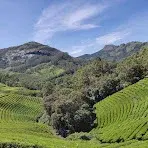 KANTHALOOR MUNNAR PACKAGE COCHIN PICK UP 