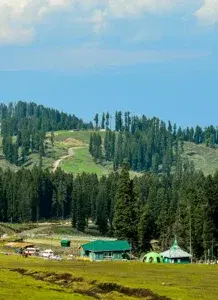 KASHMIR TRIP