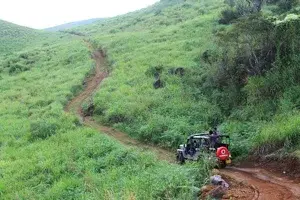 Gavi  jeep safari full day program   photo 3