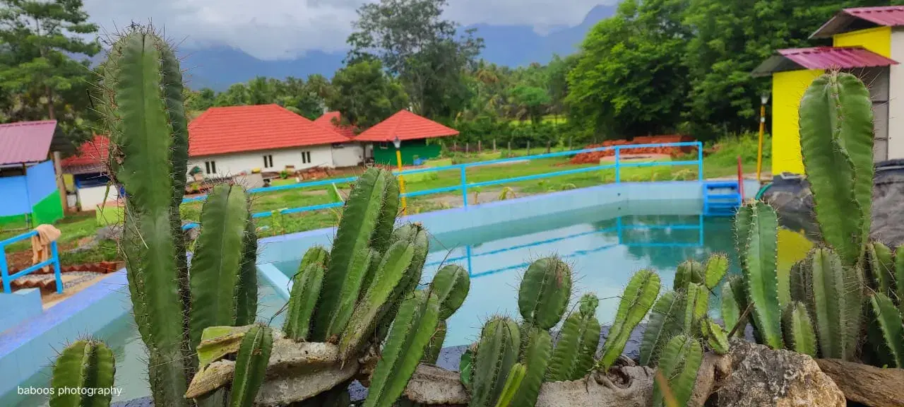 KALAPPURA HOMESTAY   photo 4