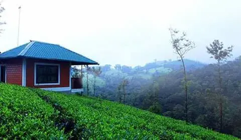 GREEN VILLA 2 BEDROOM COTTAGE