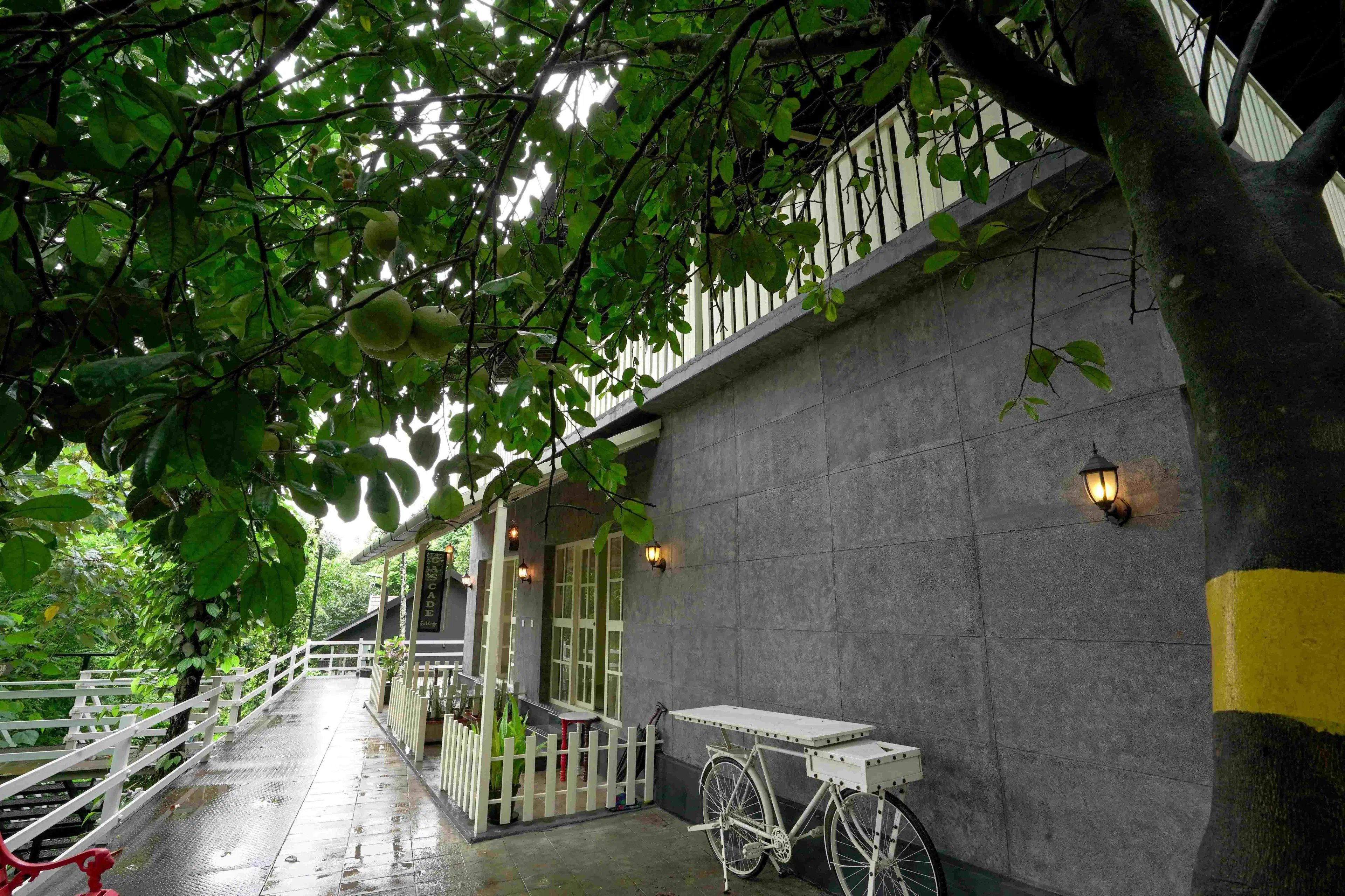 CASCADE COTTAGE B