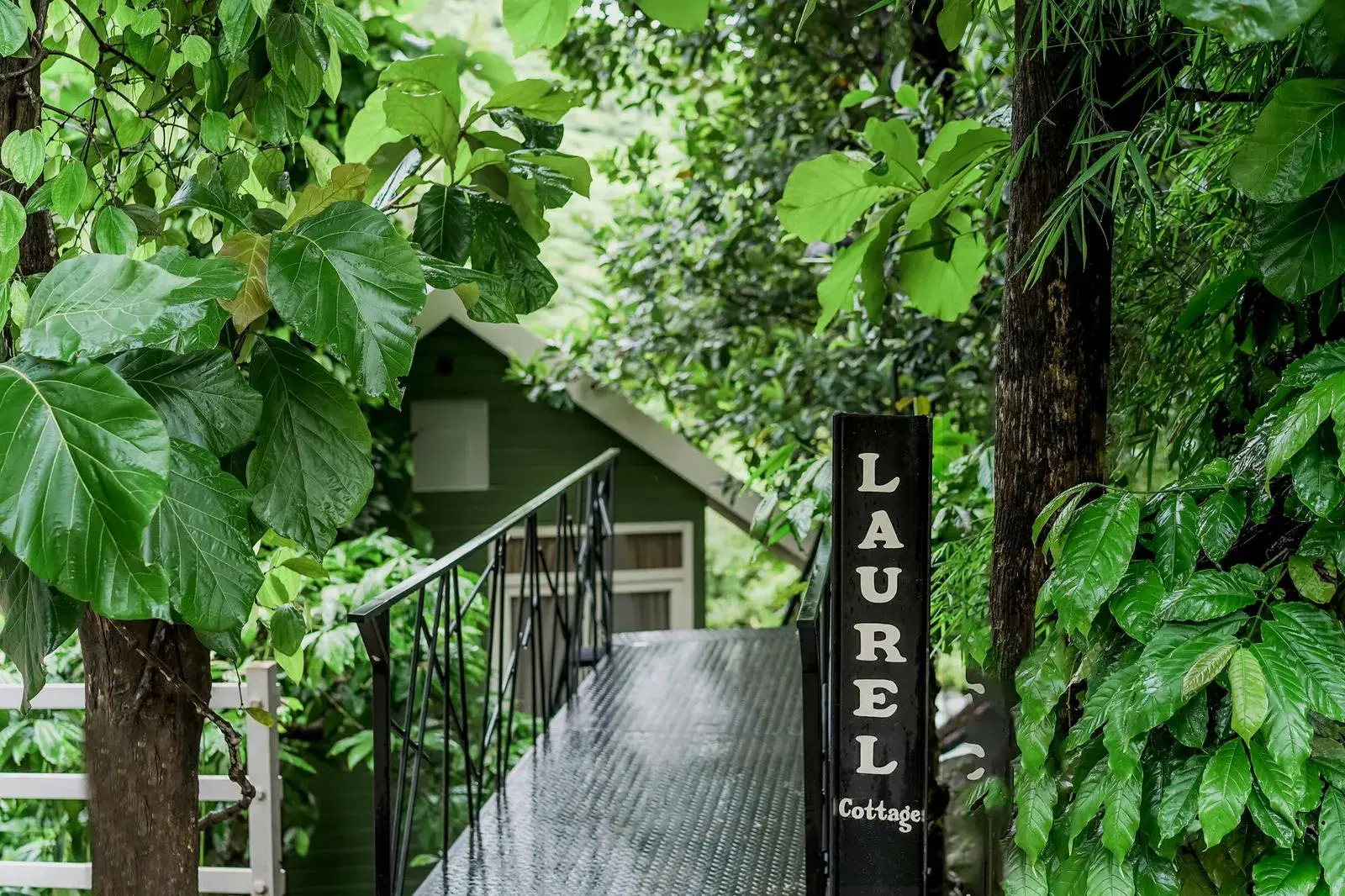 LAUREL COTTAGE    photo 1