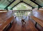 COUPLE TREE HOUSE   photo 1