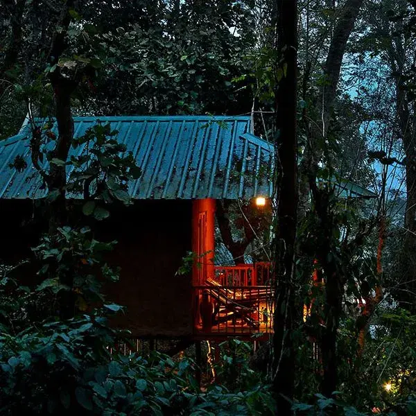 Canopy Huts