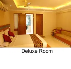 DELUXE ROOM   photo 1
