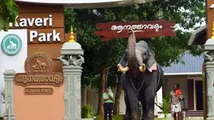VARKALA PACKAGE   photo 4