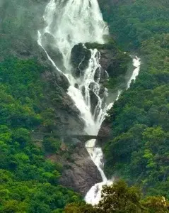 Dudhsagar Waterfall Trekking