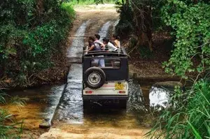 Dudhsagar Waterfall + Spice Plantation Tour   photo 3