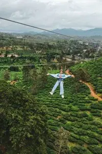 zipline   photo 2
