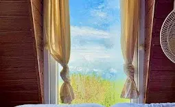 Hut/Cabin Stay   photo 4