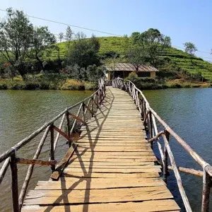 KUMARAKOM VAGAMON PACKAGE    photo 2