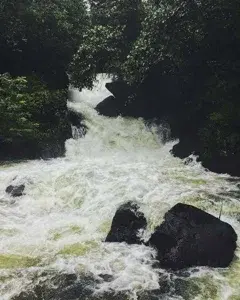 ANNMARIYA JEEP SAFARI VAGAMON 3hr   photo 2
