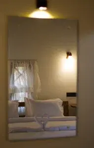 Gamboge   photo 5