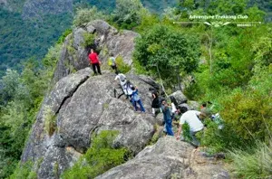 Kottagiri Camp - Ooty   photo 3