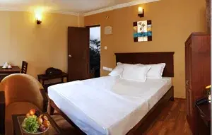 Deluxe Ac Room