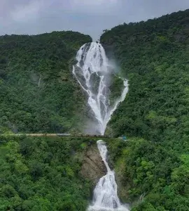 Dudhsagar Waterfall Trekking   photo 3