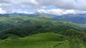 Kolukumalai safari 