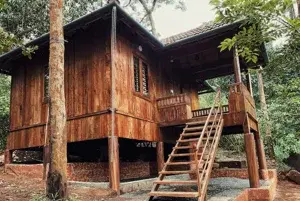 Royal Chalet (Wood House)