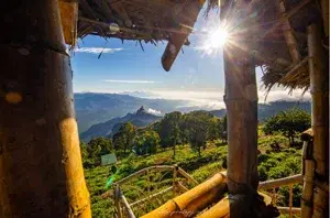 Kodanad Camp - Ooty   photo 5