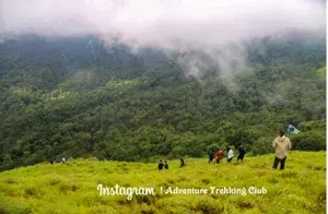 Wayanad - Aranamala Camp   photo 4