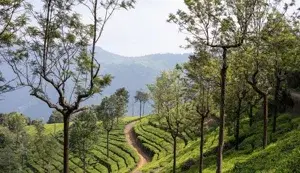 OOTY PACKAGE