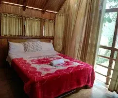 COUPLE TREE HOUSE   photo 4