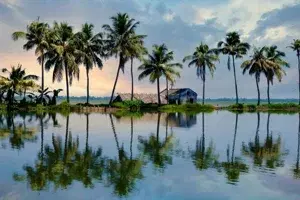 Midday Cruise with Village Life, Local Food & Cooking Class   photo 1