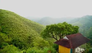 VAGAMON PACKAGE   photo 2