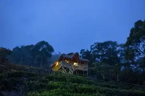 Kodanad Camp - Ooty   photo 3