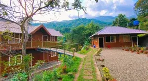 Marayoor Camp - Munnar   photo 2