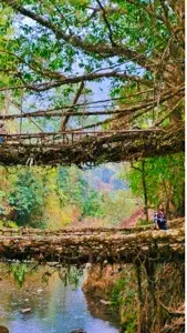 Meghalaya - 4N/5D Plan   photo 1