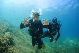 Try dive