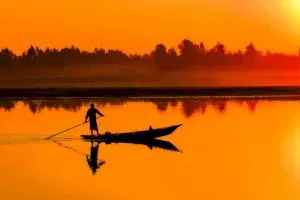 Experiential Dinner Cruise in the Kumarakom Canals   photo 1