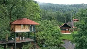  Wayanad Trekking Resort Pakage   photo 3