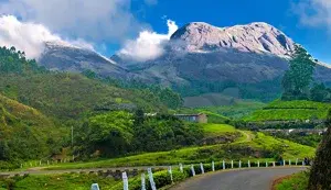 MUNNAR THEKKADY PACKAGE   photo 3