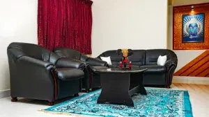 THE OASIS 4BHK   photo 4