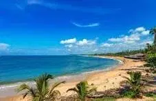  North Goa Sightseeing Tour   photo 2