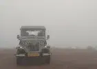 Kerala and Tamilnadu Jeep safari   photo 2