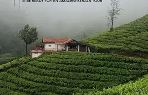 WAYANAD   photo 2