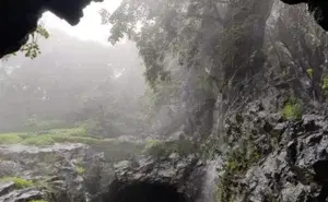 Dudhsagar Waterfall Trek with Stay Package   photo 1