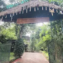 COUPLE TREE HOUSE   photo 2