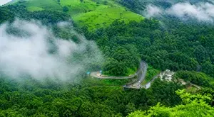 Wayanad Package Calicut Pick up   photo 1