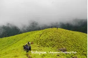 Wayanad - Aranamala Camp   photo 3