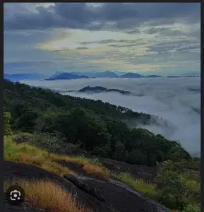 Dark Rider Jeep Safari  3Hrs   photo 5