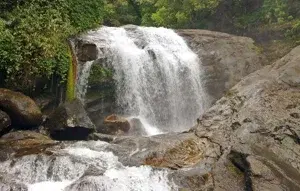 JEEP SAFARI  Viripara Waterfall and Cochin Direction